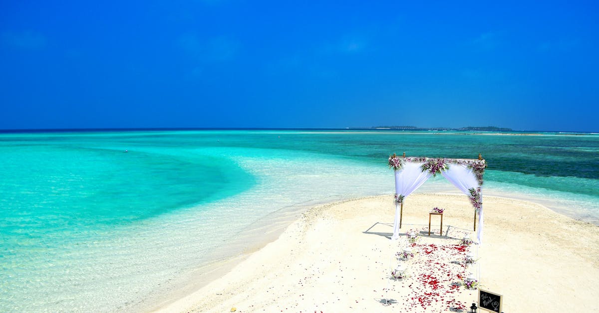 Zunimassas's Set With Fetish Sycophant Passive - White Curtain Near Ocean Water